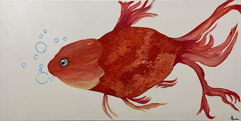 ΔΙΑΣΤΑΣΕΙΣ 70X100