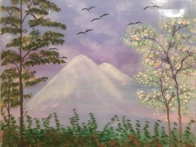 ΔΙΑΣΤΑΣΕΙΣ 50Χ70